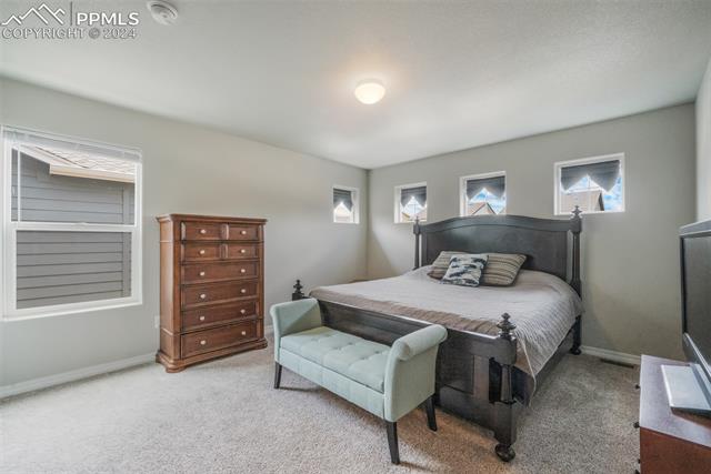 8039 Basaltic Drive