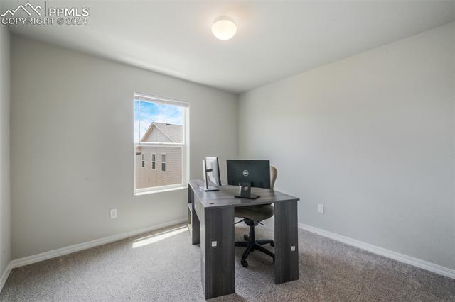 8039 Basaltic Drive