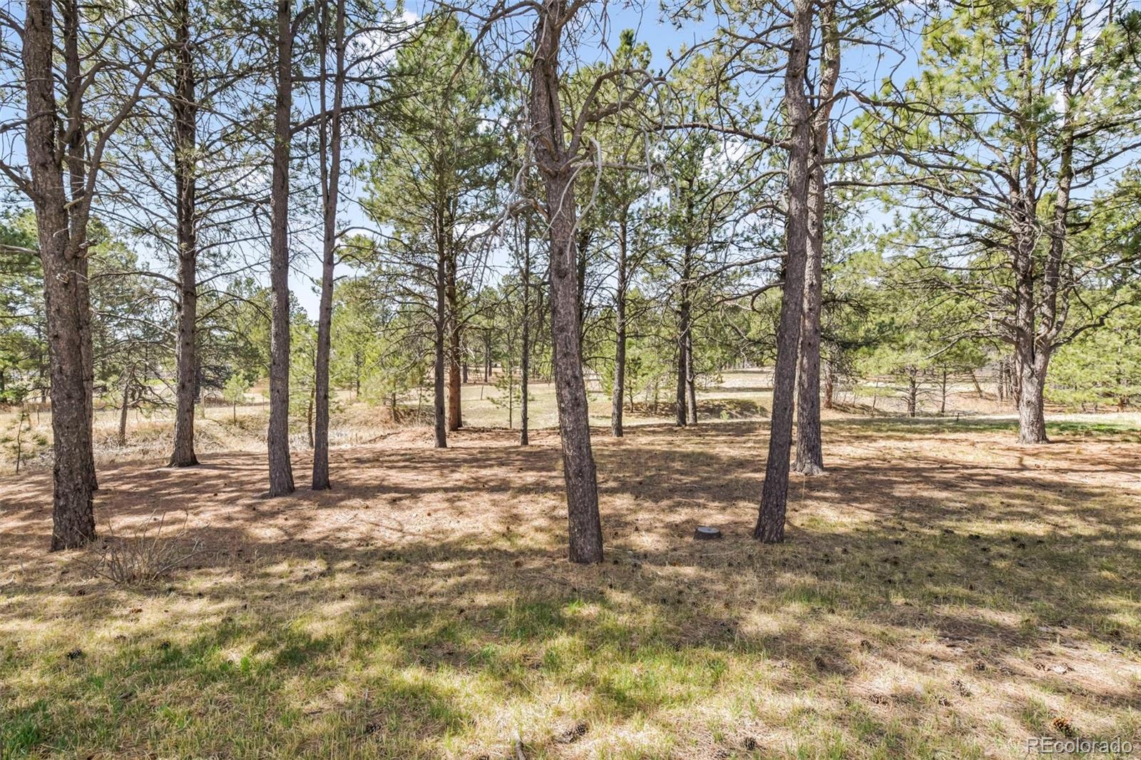 11165 Pine Meadows Road