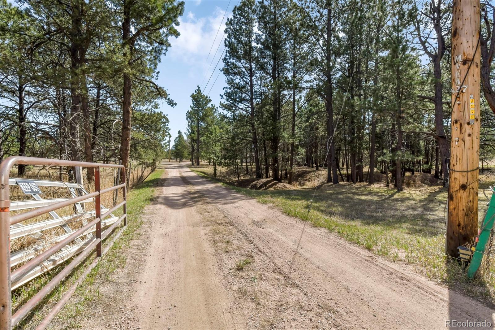 11165 Pine Meadows Road