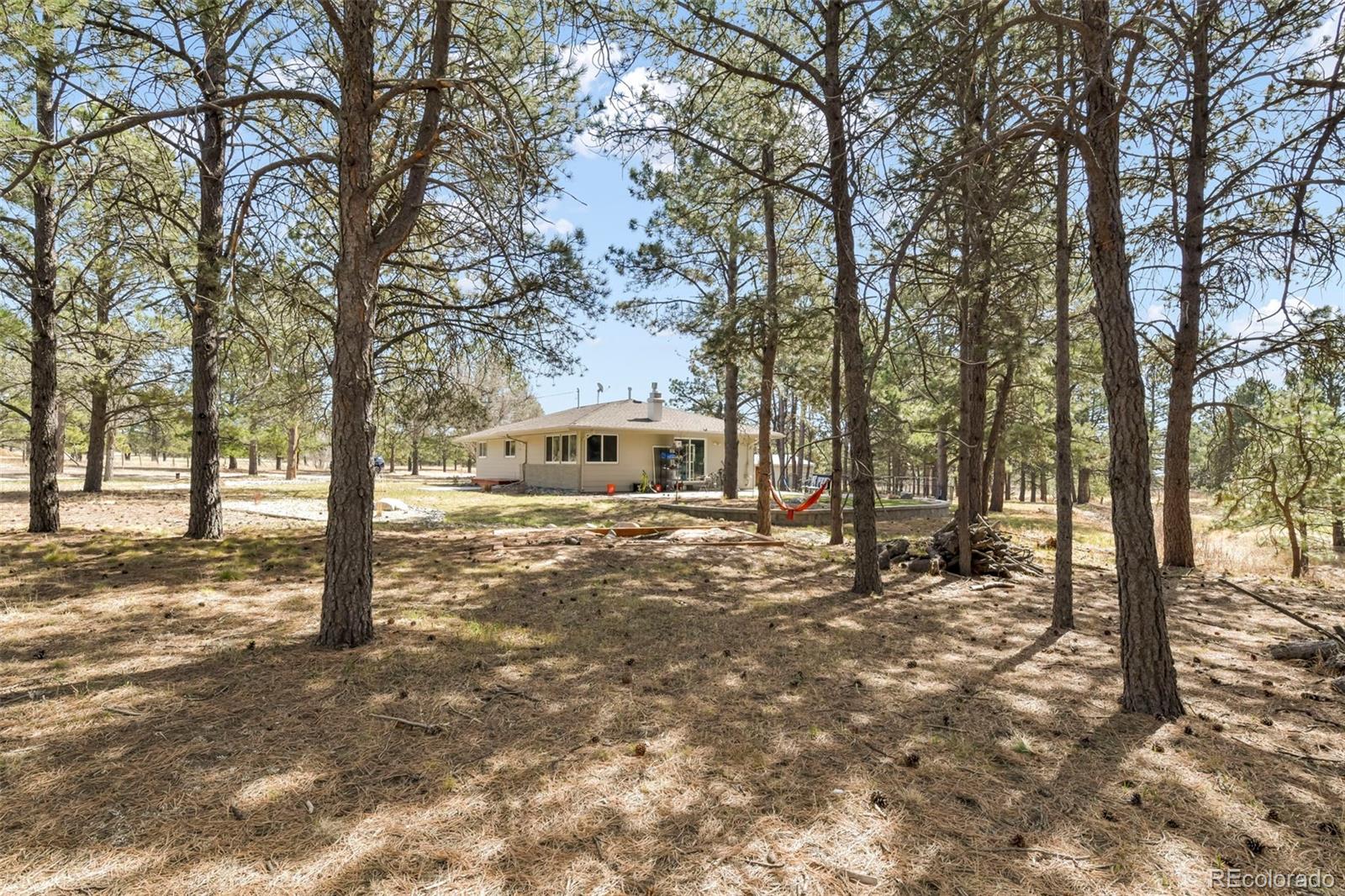 11165 Pine Meadows Road