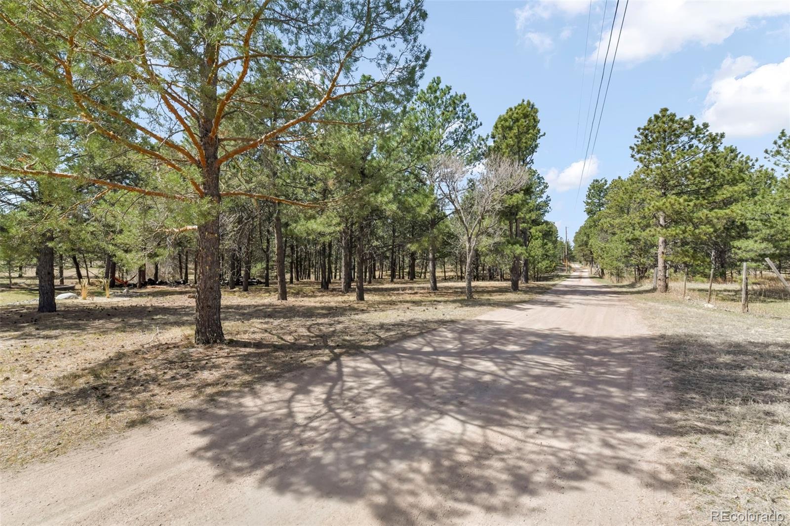 11165 Pine Meadows Road