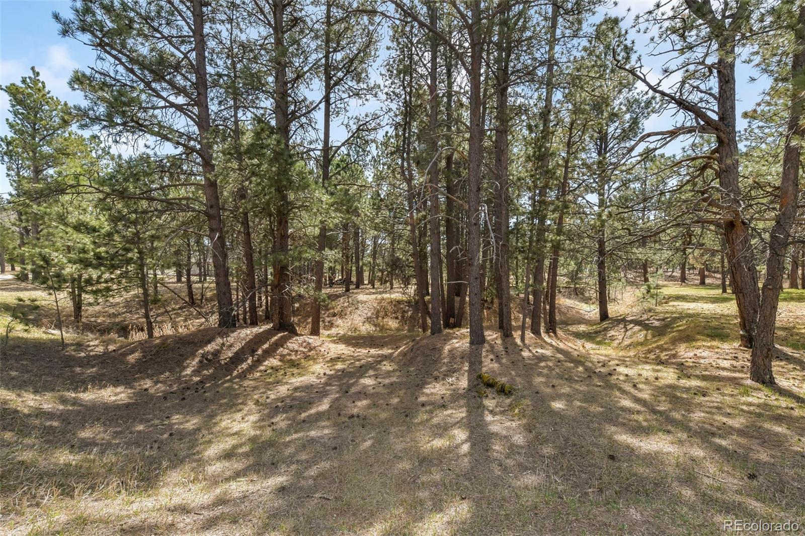 11165 Pine Meadows Road