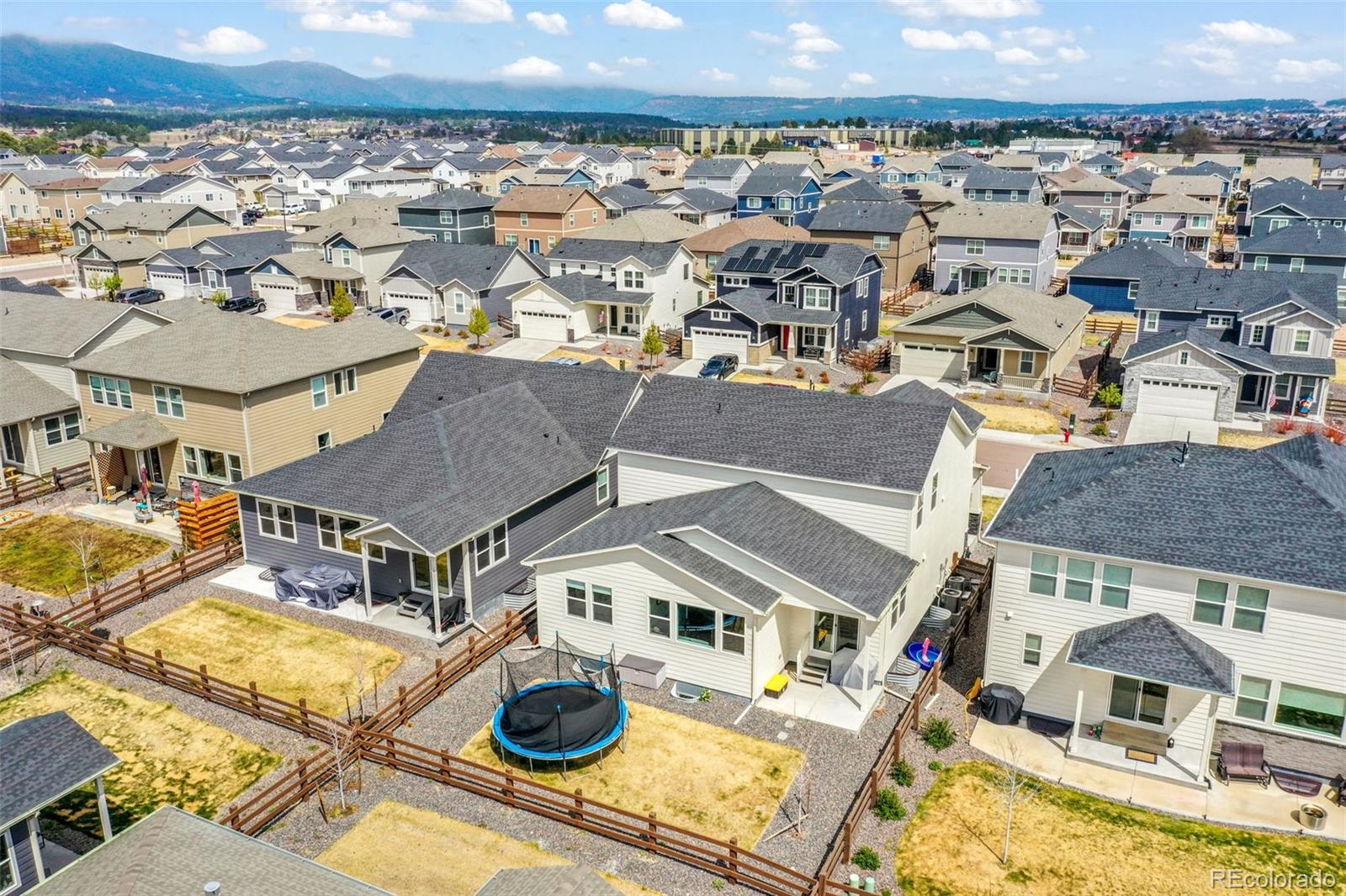 2115 Coyote Mint Drive