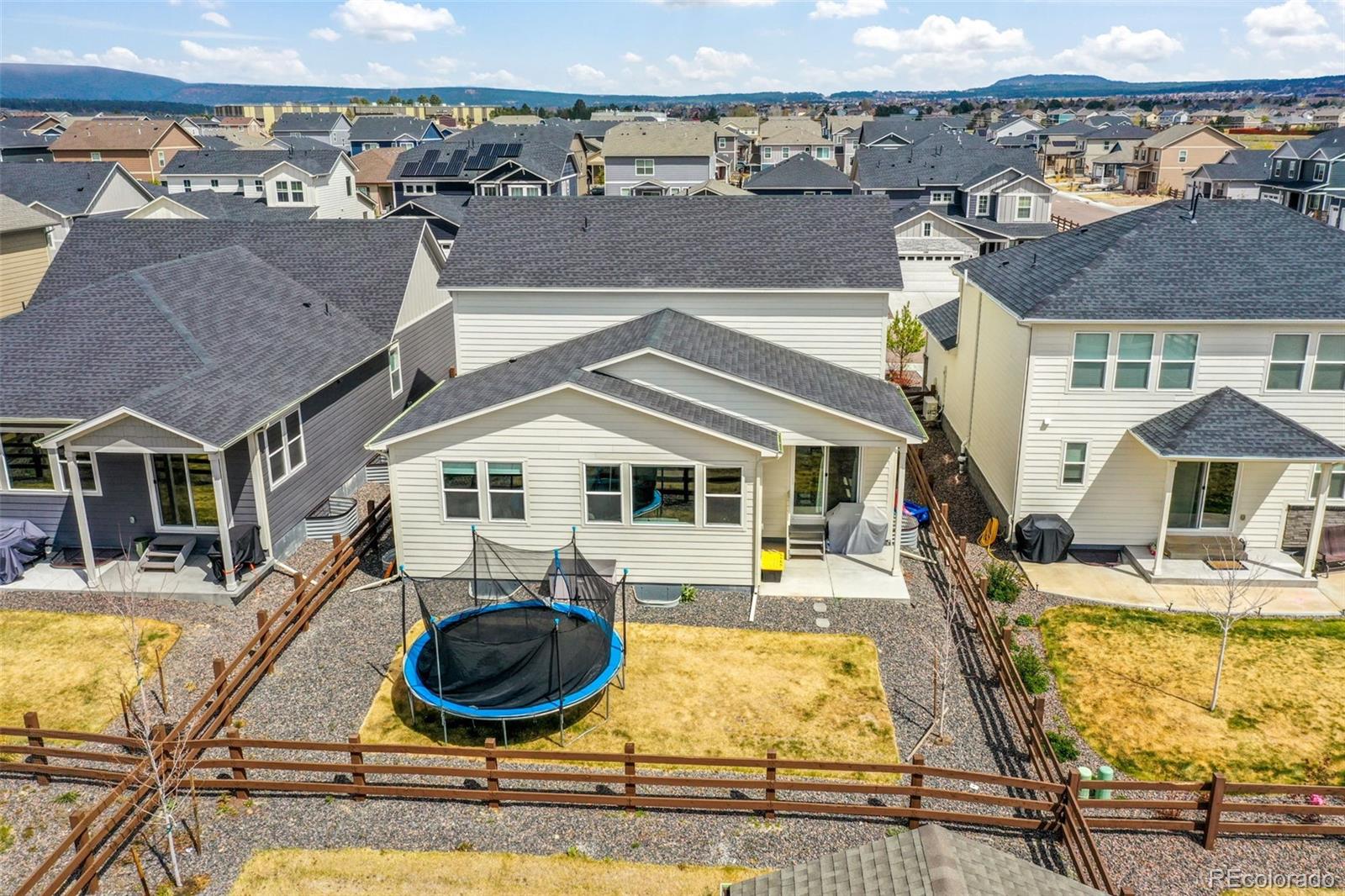 2115 Coyote Mint Drive