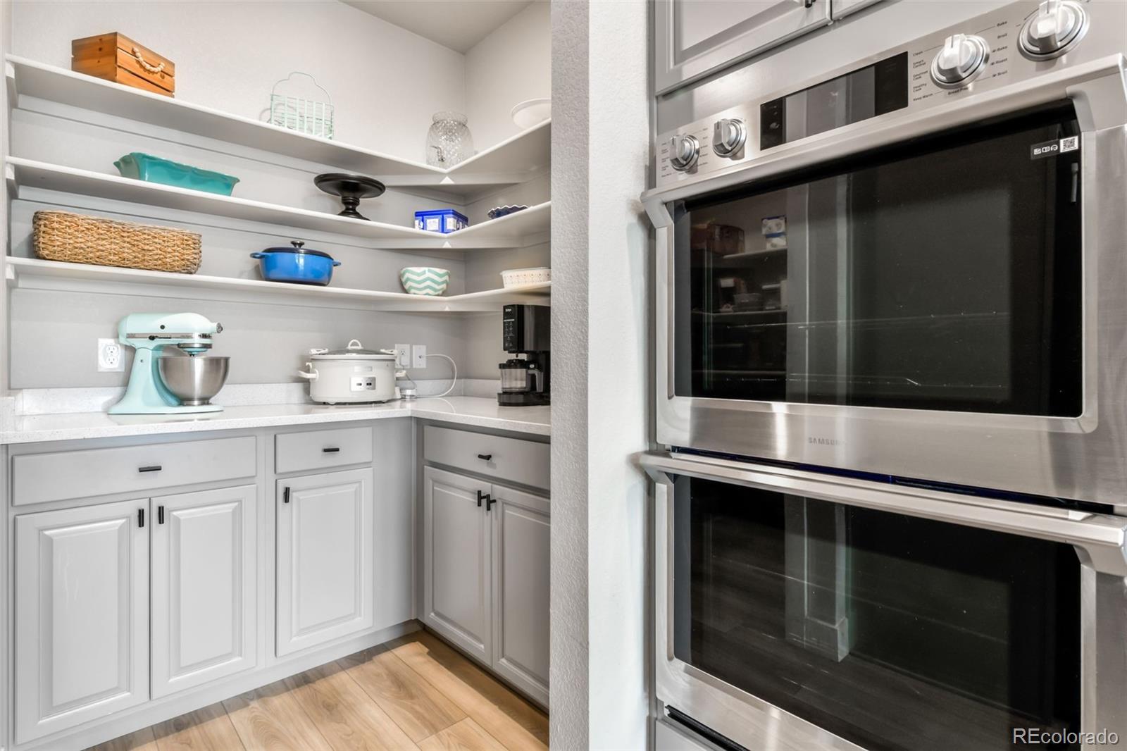 2115 Coyote Mint Drive