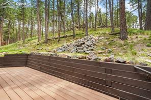 17365 E Caribou Drive