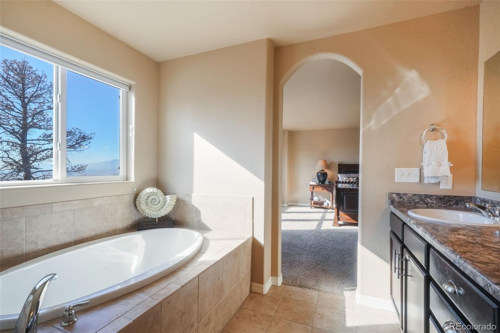 19703 Serenity Springs Point