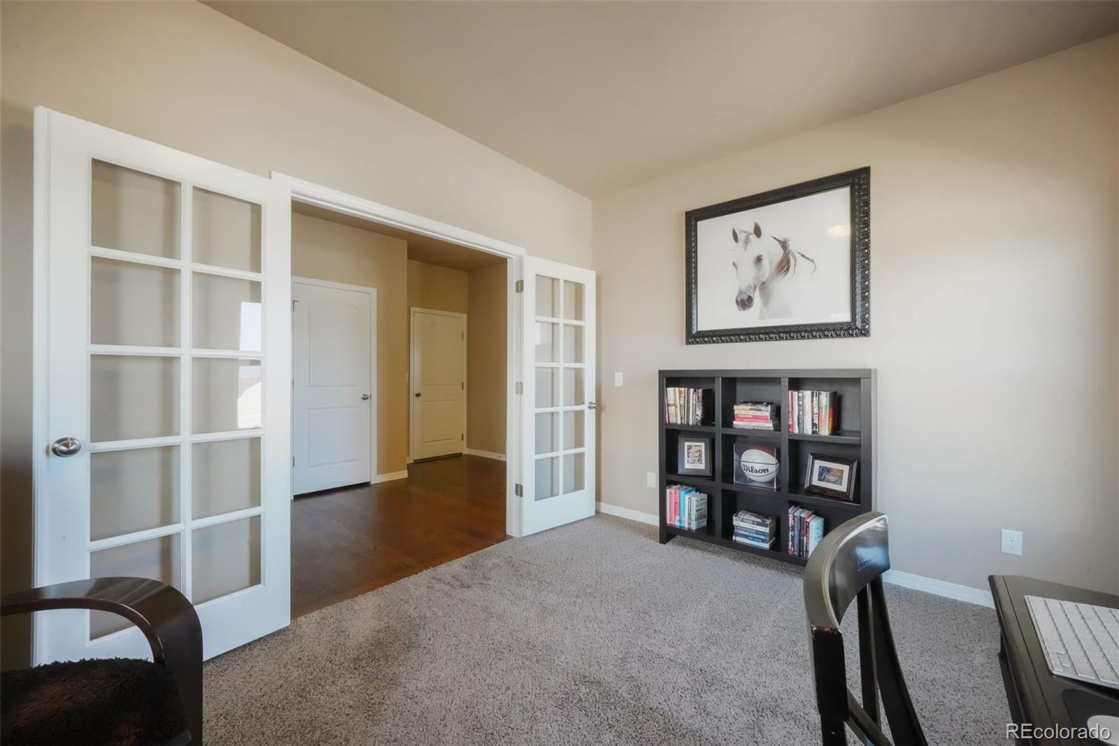 19703 Serenity Springs Point