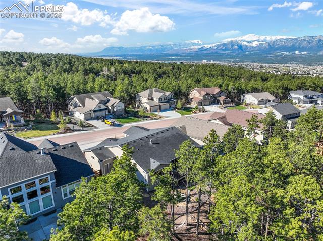 1004 Tree Bark Terrace