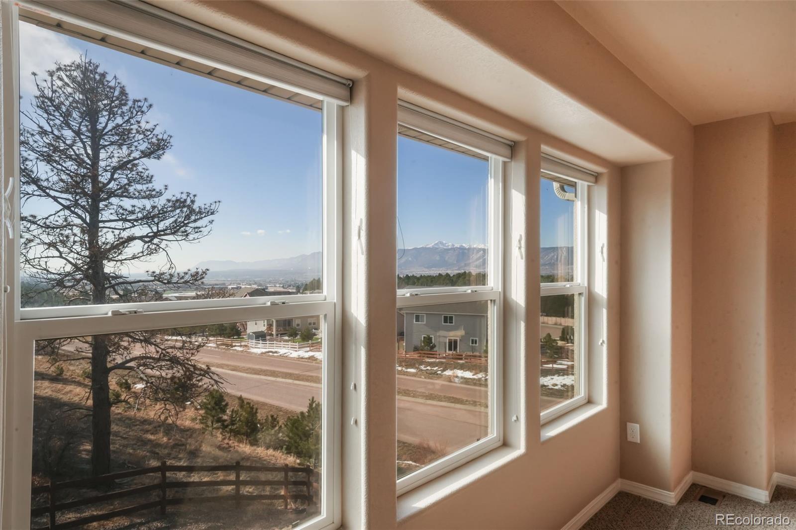 19703 Serenity Springs Point