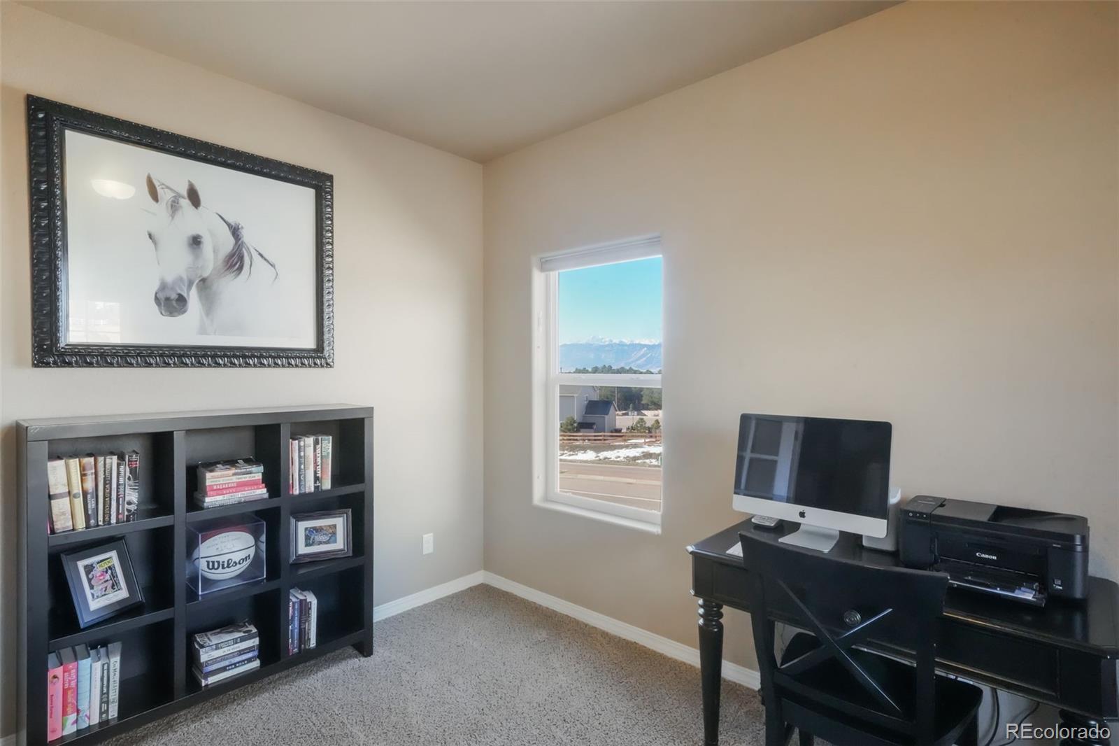 19703 Serenity Springs Point