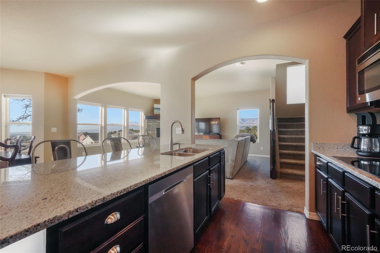 19703 Serenity Springs Point