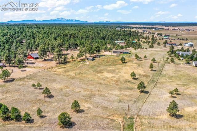 16735 High Tree Drive