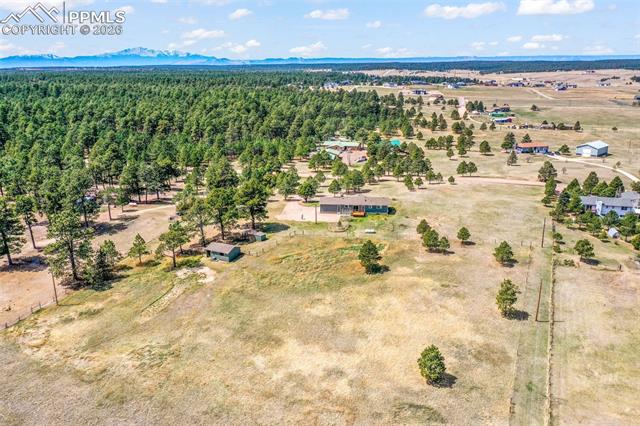 16735 High Tree Drive