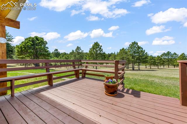 16735 High Tree Drive