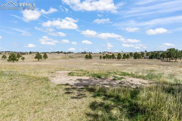 16735 High Tree Drive