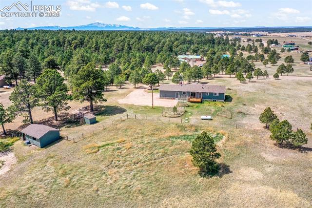 16735 High Tree Drive