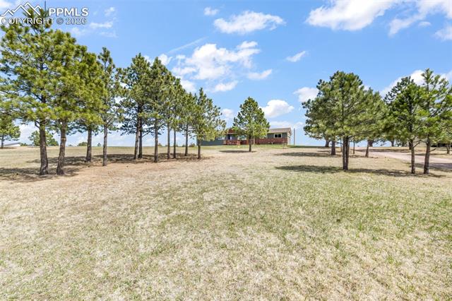 16735 High Tree Drive