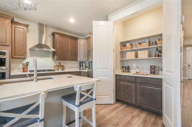 2144 Coyote Mint Drive