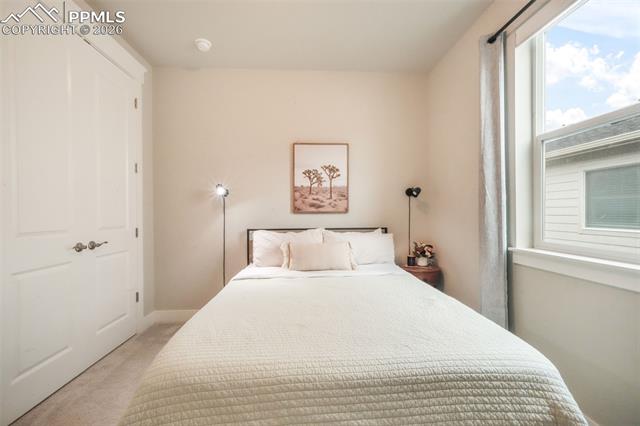 2144 Coyote Mint Drive