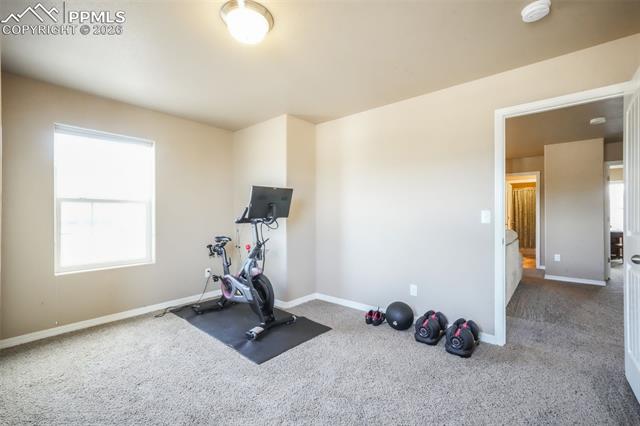 19703 Serenity Springs Point