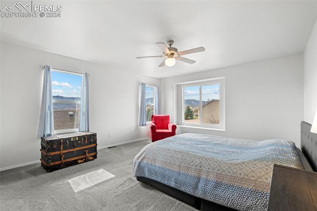 785 Mesa Creek Drive