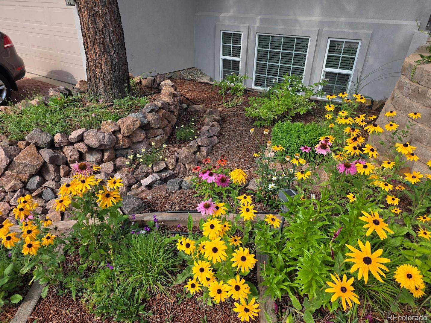 6020 Castlewood Lane