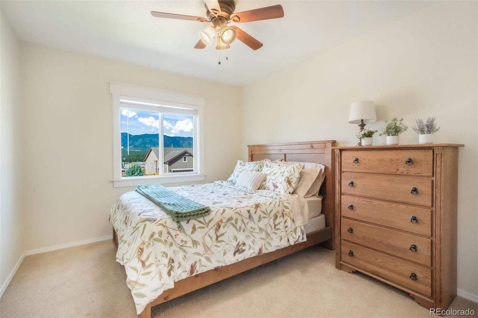 14677 Allegiance Drive