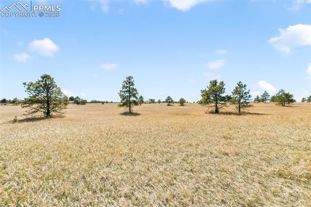 18150 Pinon Park Road