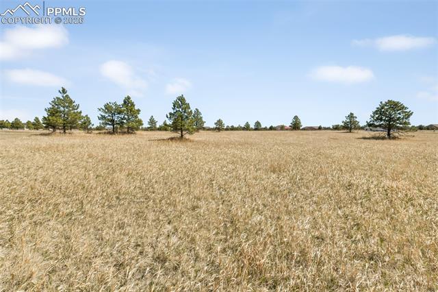 18150 Pinon Park Road