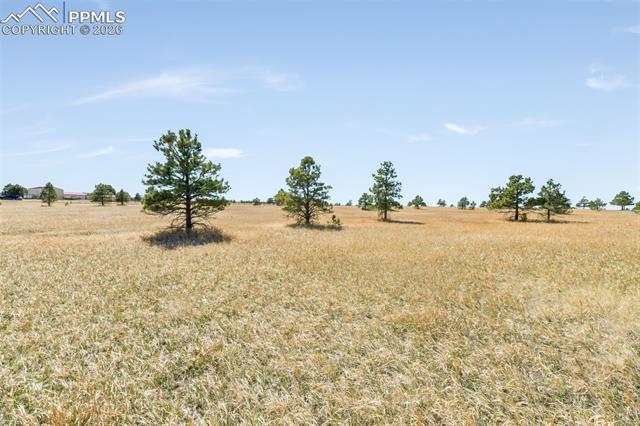 18150 Pinon Park Road