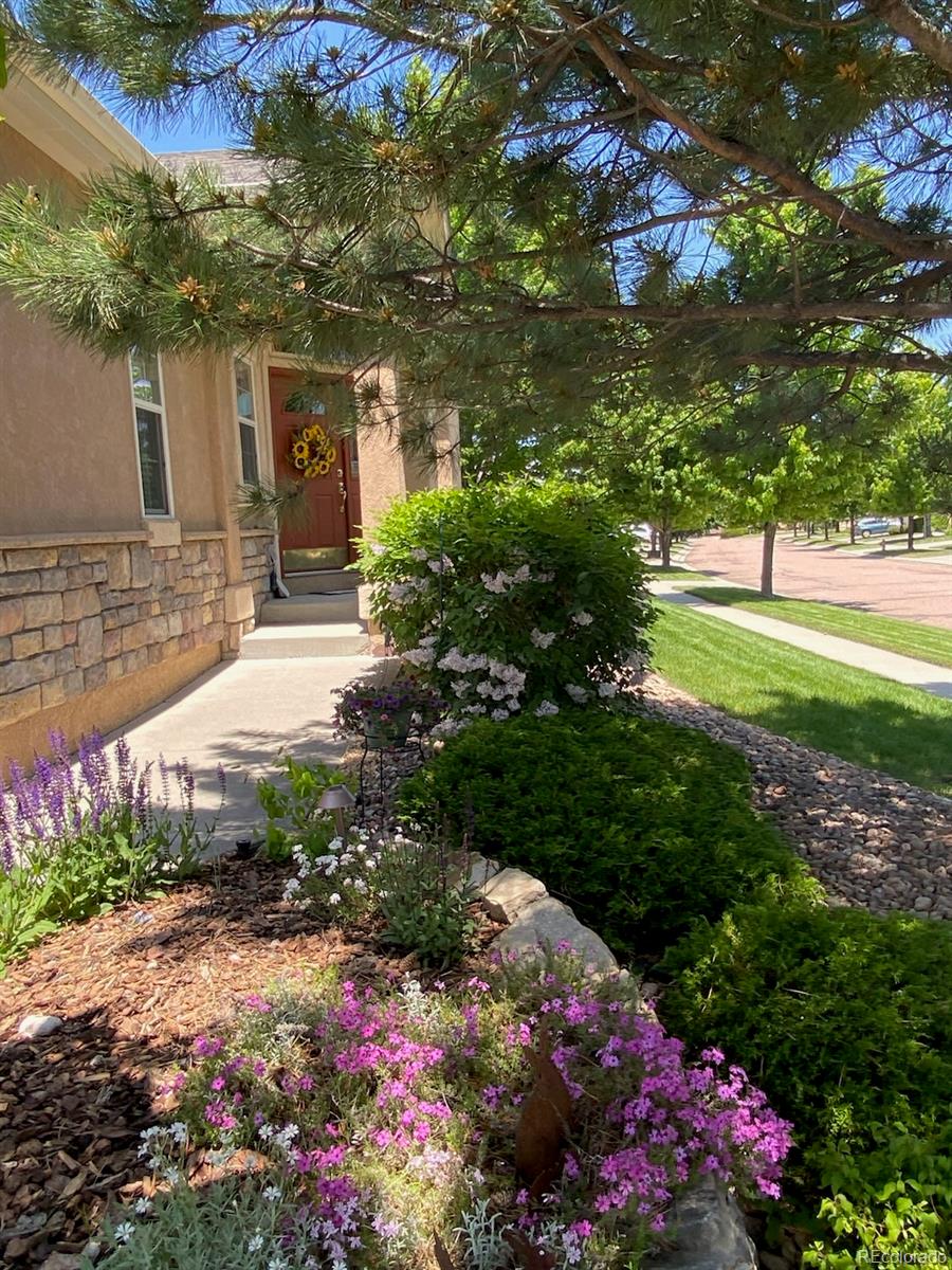 3272 Foxtail Court