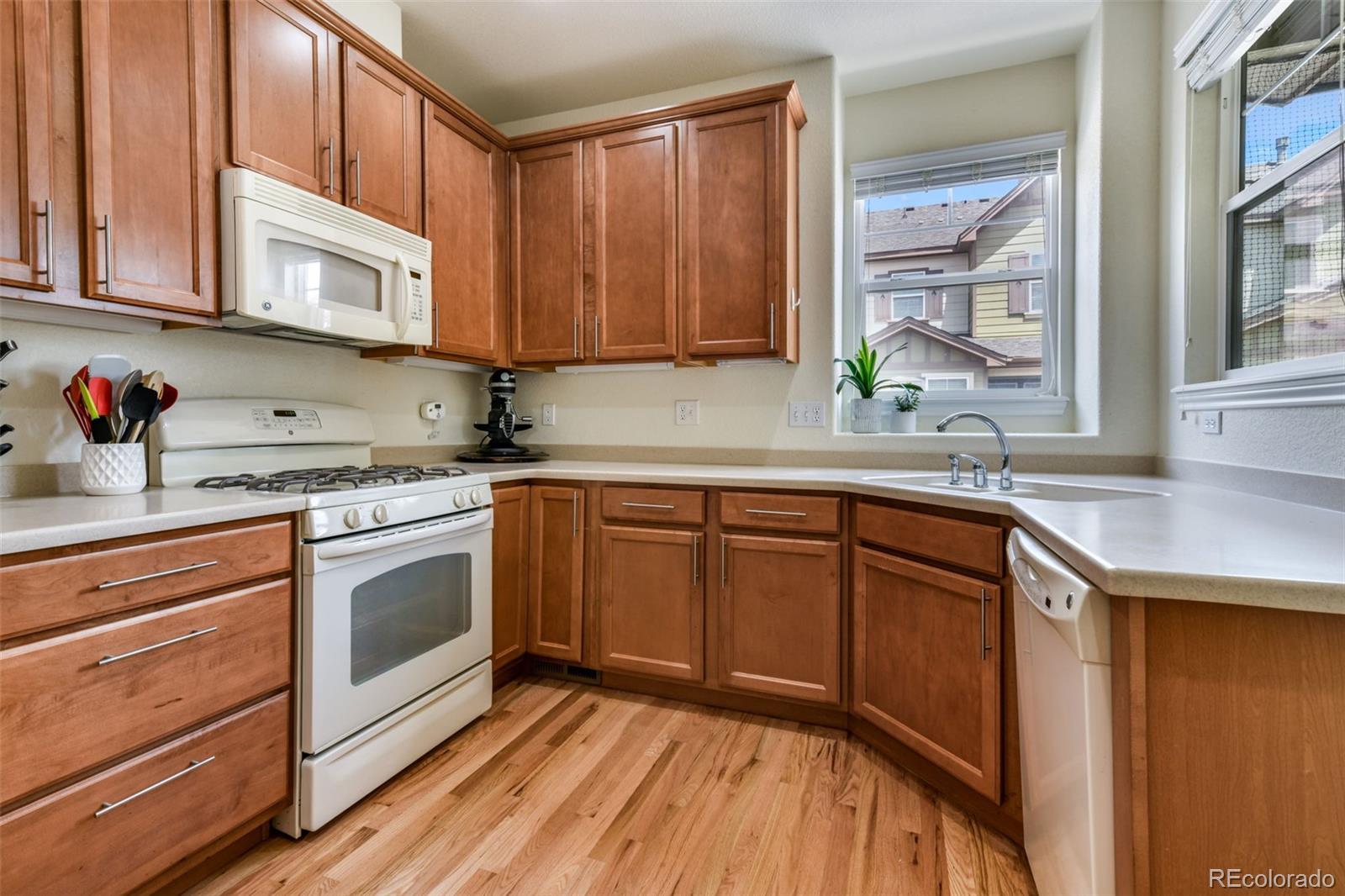 10816 Creede Creek Point