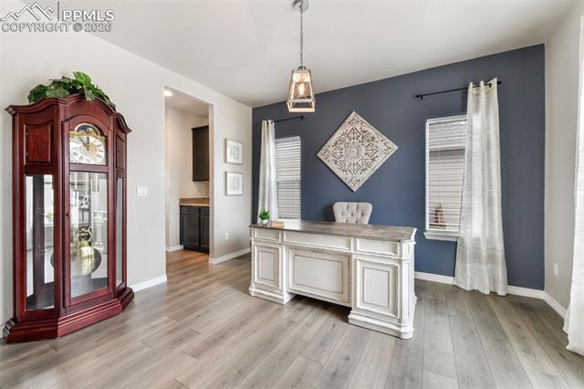 10751 Shavano Peak Court