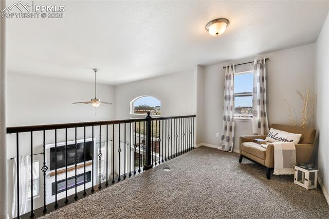 10751 Shavano Peak Court