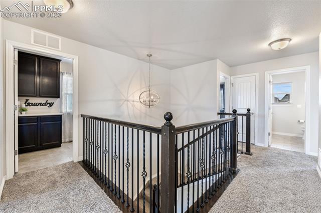 10751 Shavano Peak Court