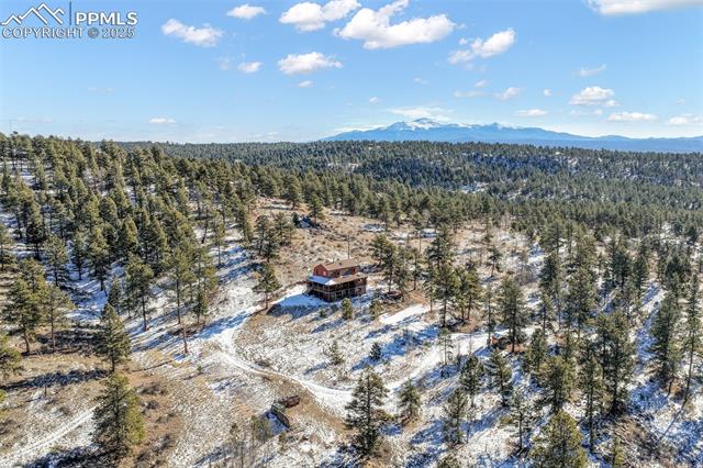 312 Trail Creek Road