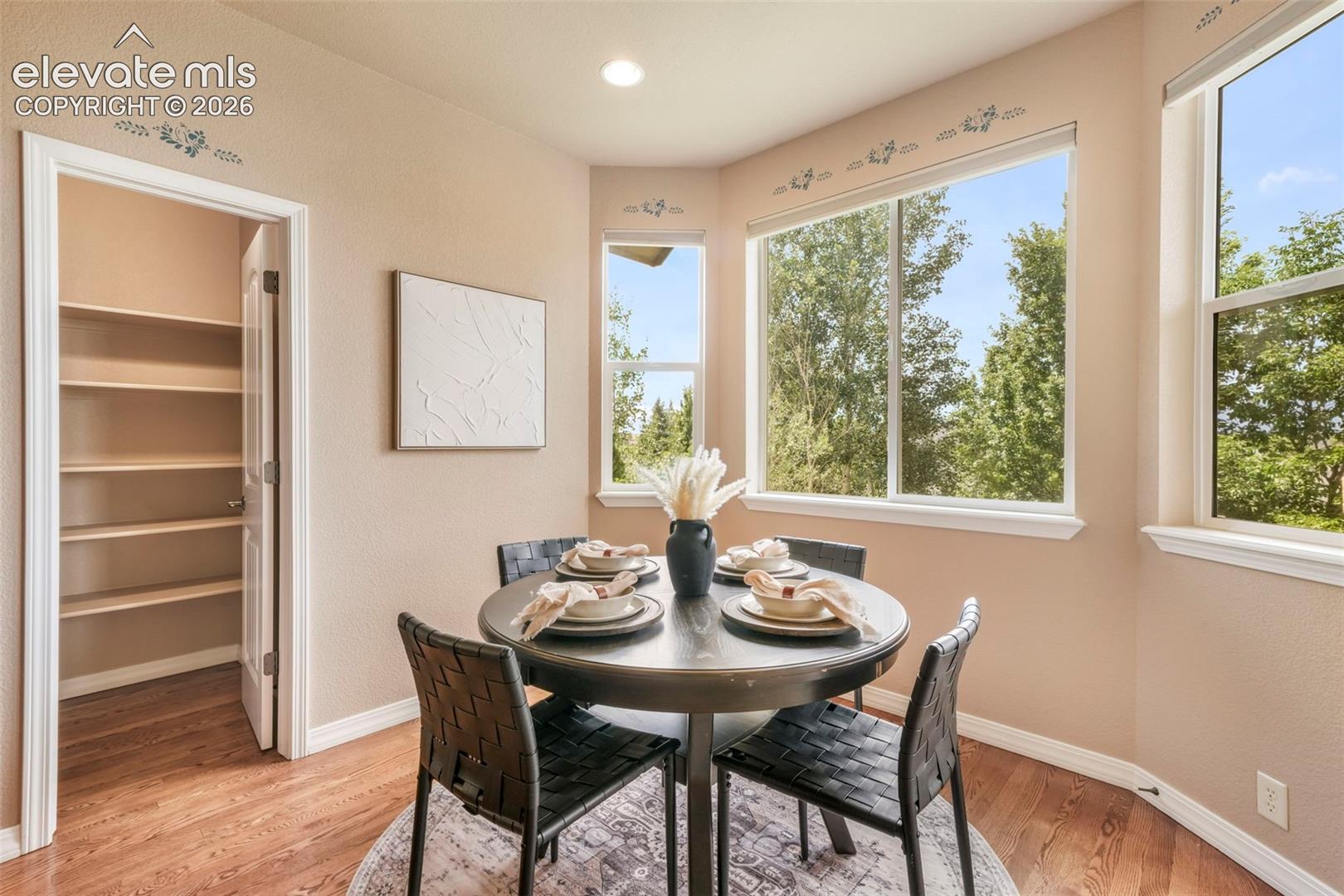 3605 Cherry Plum Drive