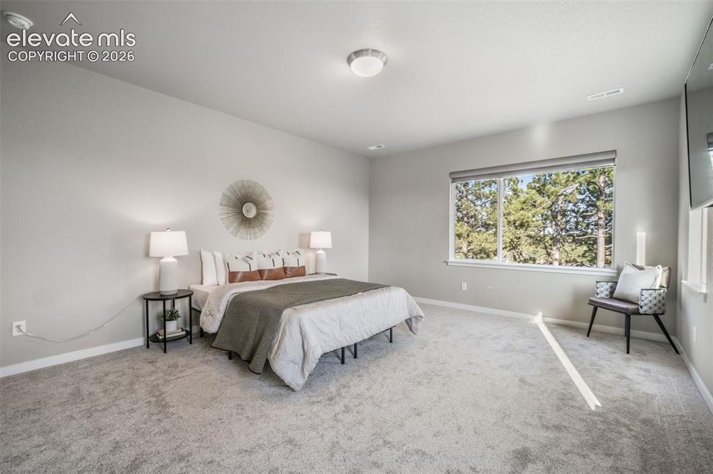 16267 Thunder Cat Way