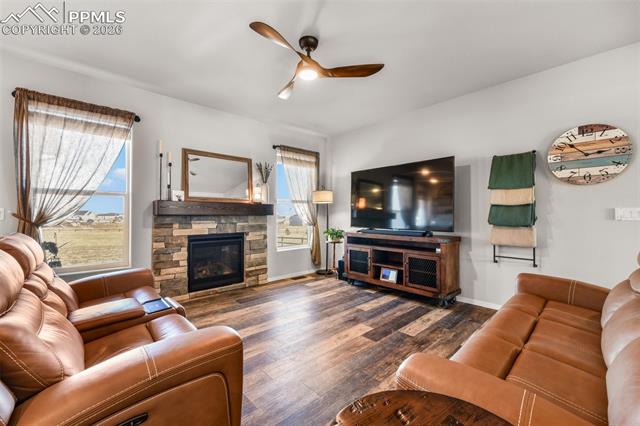 11211 Palmer Peak Place