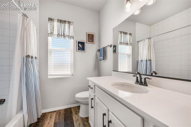 11211 Palmer Peak Place