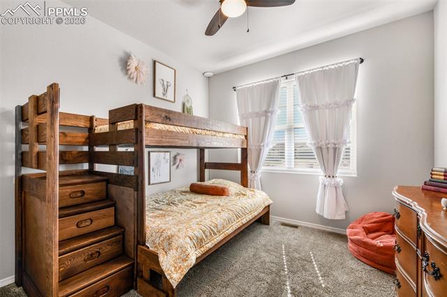 11211 Palmer Peak Place