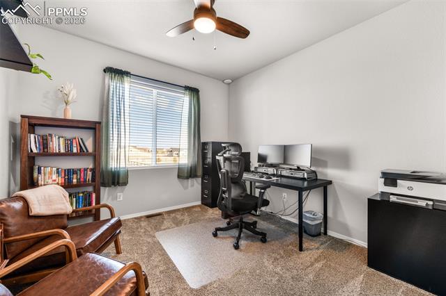 11211 Palmer Peak Place