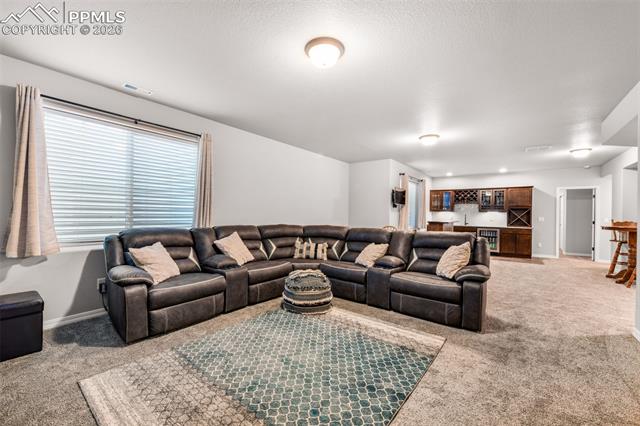 11211 Palmer Peak Place