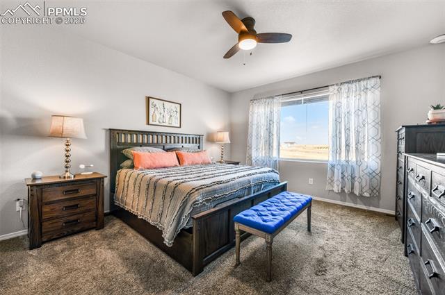 11211 Palmer Peak Place