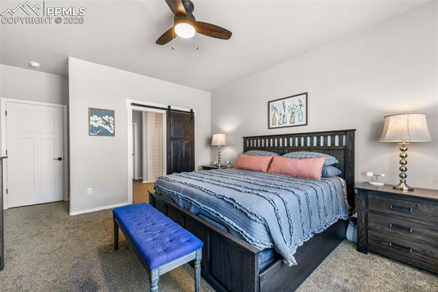 11211 Palmer Peak Place