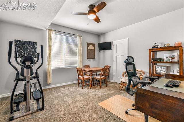 11211 Palmer Peak Place