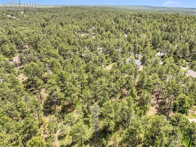 1180 Lone Scout Lookout