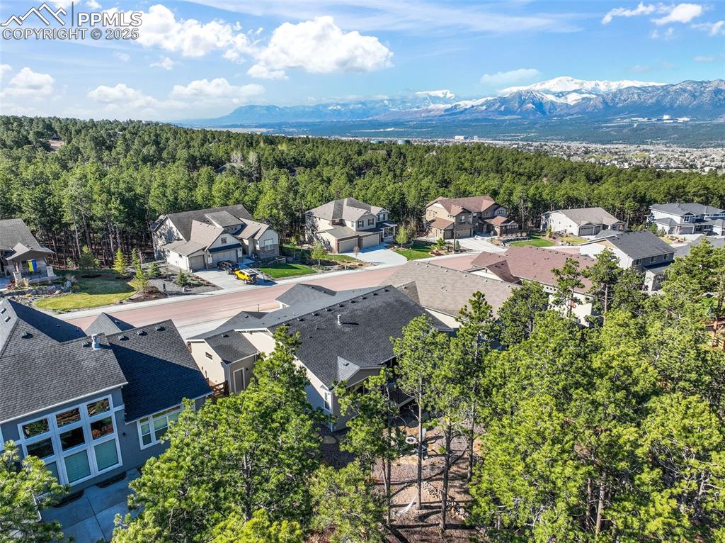 1004 Tree Bark Terrace